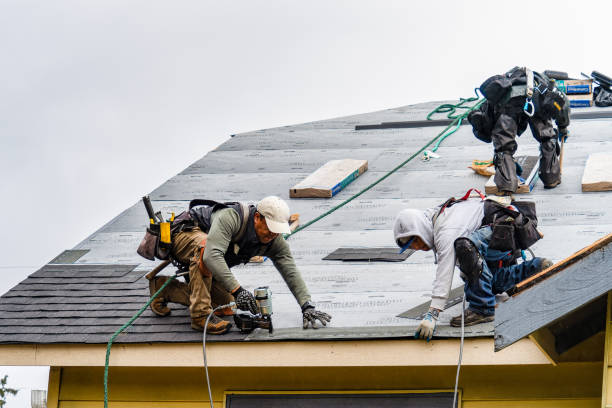 Professional Gutter Installation technician working in Milano, TX